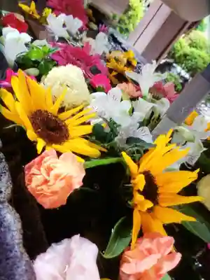 鳩森八幡神社の手水舎