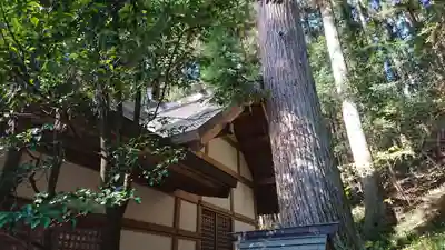 九頭龍神社の本殿・本堂
