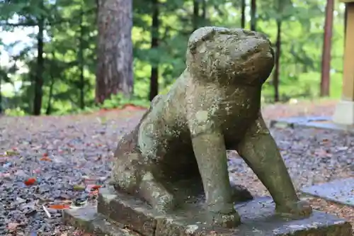 鷲神社の狛犬