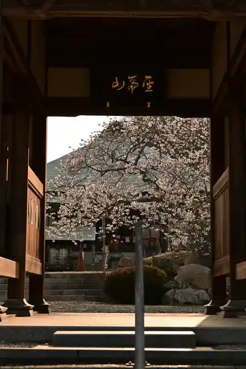 実報寺(愛媛県)