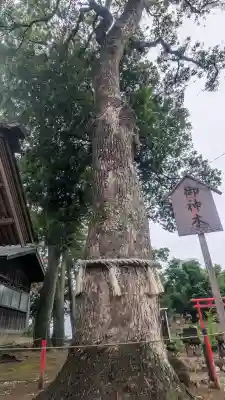 飯福神社の{uncategorized: "未分類", other: "その他", undefined: "問題あり", building: "その他建物", grave: "お墓", sacred_gate: "鳥居", guardian: "狛犬", statue: "像", buddha: "仏像", history: "歴史", nature: "自然", garden: "庭園", animal: "動物", pagoda: "塔", temizu: "手水舎", mountain_gate: "山門・神門", sanctuary: "本殿・本堂", subordinate: "末社・摂社", art: "芸術", scenery: "景色", jizo: "地蔵", ema: "絵馬", goshuin: "御朱印", omikuji: "おみくじ", items: "授与品その他", amulet: "お守り", goshuincho: "御朱印帳", eats: "食事", festival: "お祭り", votive_dance: "神楽", shichigosan: "七五三参", wedding: "結婚式", experience: "体験その他", initially: "初詣", around: "周辺", anti_infection: "感染症対策"}