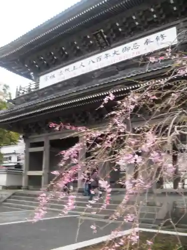 光明寺の山門・神門