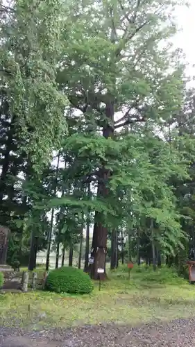 秋保神社の自然