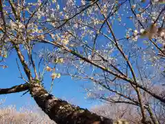 壽命院 永徳寺(栃木県)