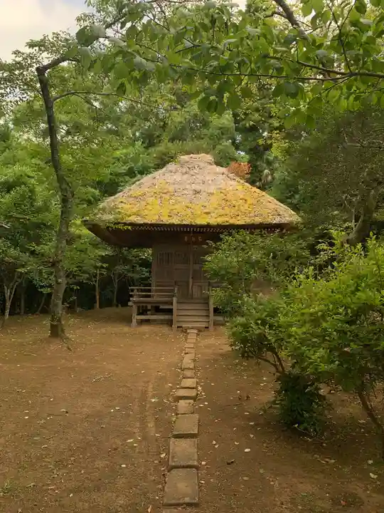 芝山仁王尊 観音教寺(千葉県)