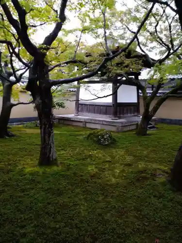 黄梅院(京都府)