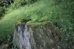 白鬚神社(埼玉県)