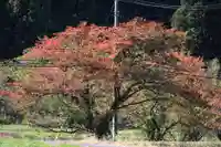 高司神社〜むすびの神の鎮まる社〜の自然