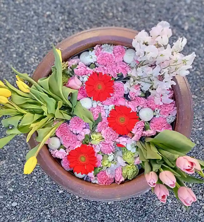 釋迦院(釈迦院)(大阪府)