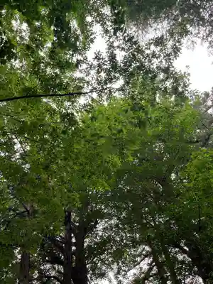 三芳野神社(埼玉県)