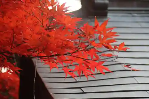 滑川神社 - 仕事と子どもの守り神の自然