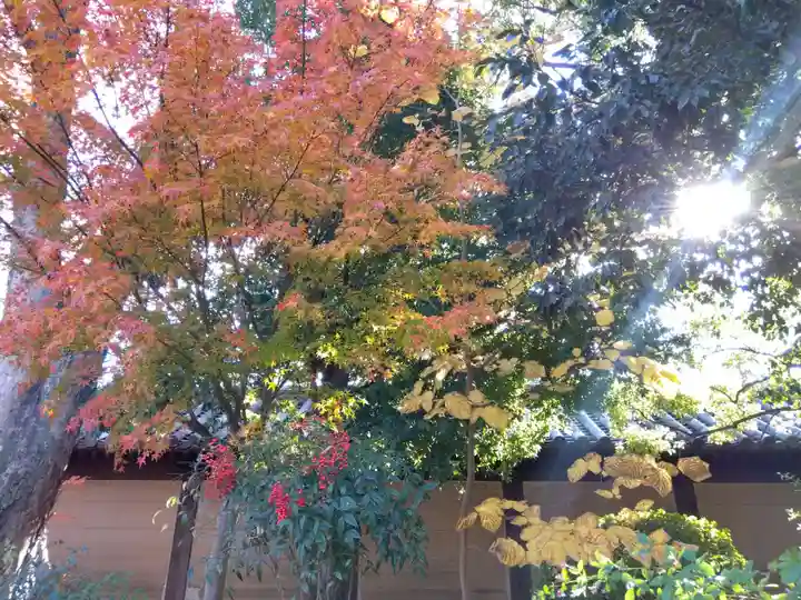 蓮華王院(三十三間堂)(京都府)