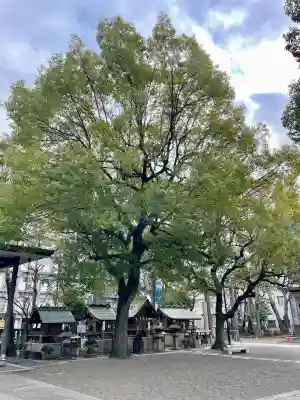 亀戸 香取神社の{uncategorized: "未分類", other: "その他", undefined: "問題あり", building: "その他建物", grave: "お墓", sacred_gate: "鳥居", guardian: "狛犬", statue: "像", buddha: "仏像", history: "歴史", nature: "自然", garden: "庭園", animal: "動物", pagoda: "塔", temizu: "手水舎", mountain_gate: "山門・神門", sanctuary: "本殿・本堂", subordinate: "末社・摂社", art: "芸術", scenery: "景色", jizo: "地蔵", ema: "絵馬", goshuin: "御朱印", omikuji: "おみくじ", items: "授与品その他", amulet: "お守り", goshuincho: "御朱印帳", eats: "食事", festival: "お祭り", votive_dance: "神楽", shichigosan: "七五三参", wedding: "結婚式", experience: "体験その他", initially: "初詣", around: "周辺", anti_infection: "感染症対策"}