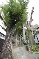 日枝神社(静岡県)