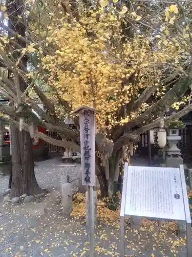 秩父神社(埼玉県)