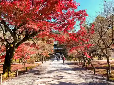 南禅寺のその他建物