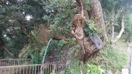 天妃神社の建物その他