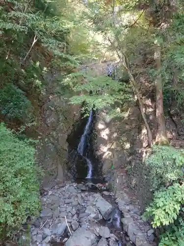 大山阿夫利神社の景色