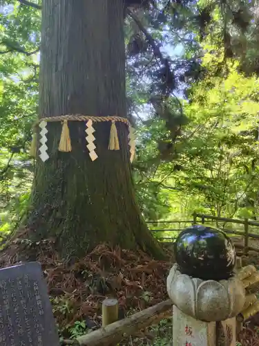 高尾山薬王院(東京都)