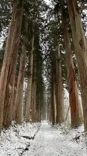 戸隠神社奥社(長野県)