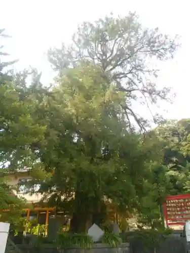 瀬戸神社の自然