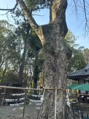 小御門神社(千葉県)