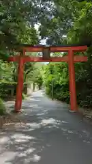 吉田神社の鳥居