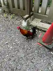 大甕神社(茨城県)