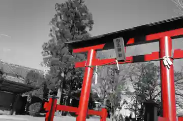 飯玉神社の鳥居
