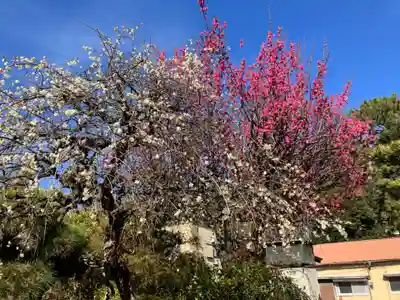 善性寺(神奈川県)
