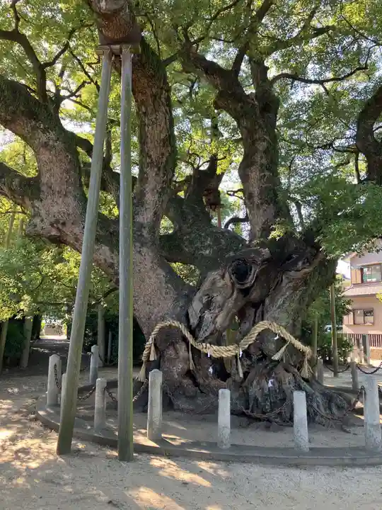 大宮神社(愛知県)
