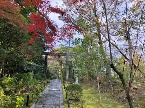 金地院の鳥居