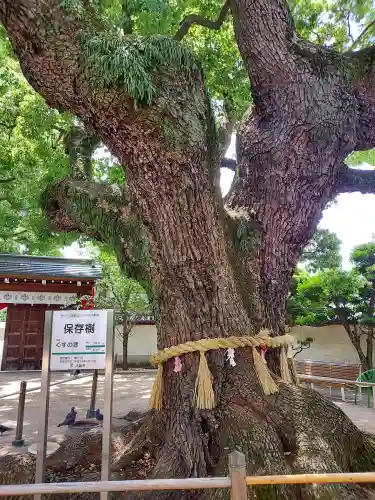 大聖観音寺（あびこ観音）(大阪府)