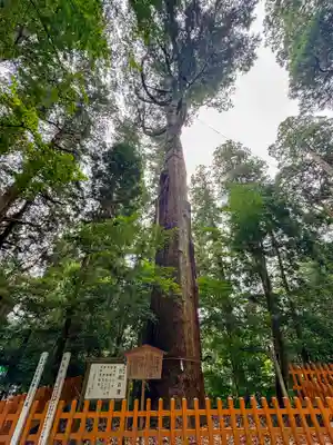 高千穂神社(宮崎県)