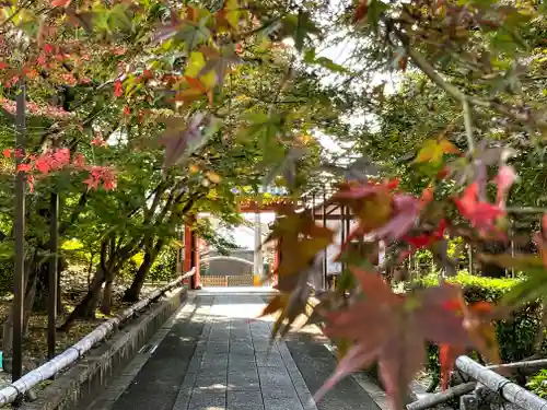 乙訓寺の山門・神門