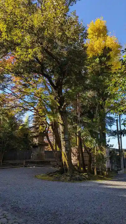 法然院(京都府)