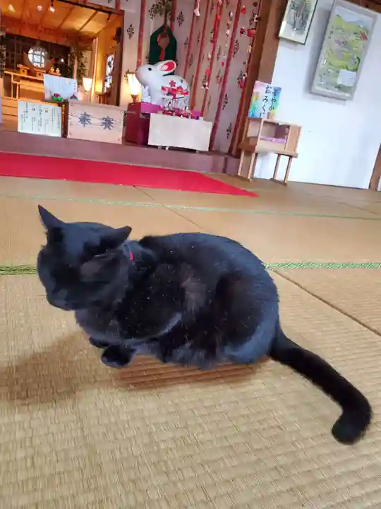 高司神社〜むすびの神の鎮まる社〜(福島県)
