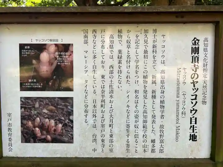 金剛頂寺(高知県)