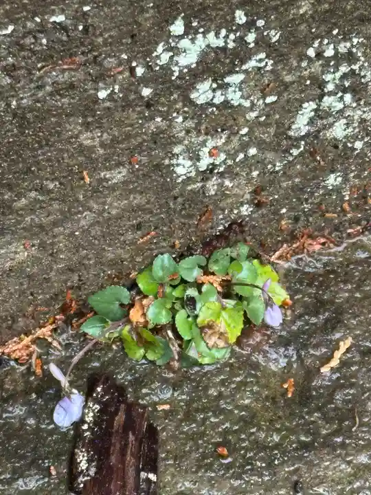 熊野神社(千葉県)