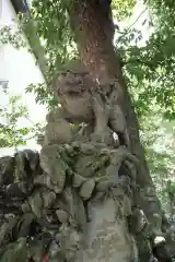 赤坂氷川神社の狛犬