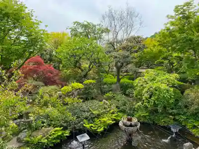 龍散寺の庭園