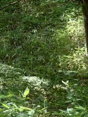 穂高神社奥宮(長野県)