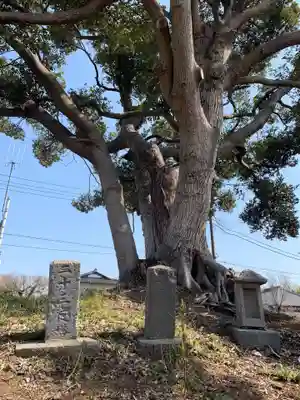 八坂神社(千葉県)