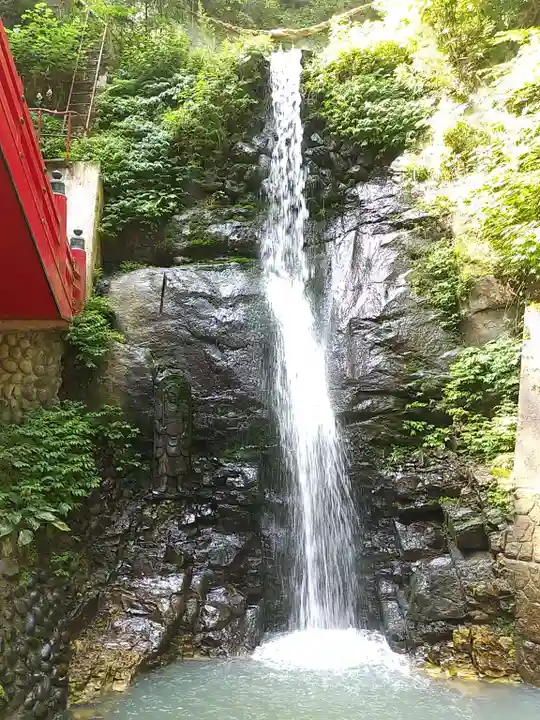 大正寺(中野不動尊)の周辺