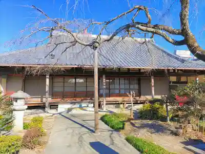 観音寺の本殿・本堂