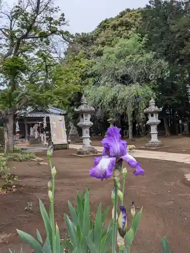 伏木香取神社(茨城県)