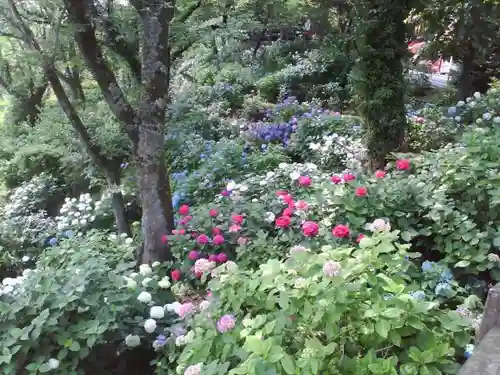 太平山神社の庭園