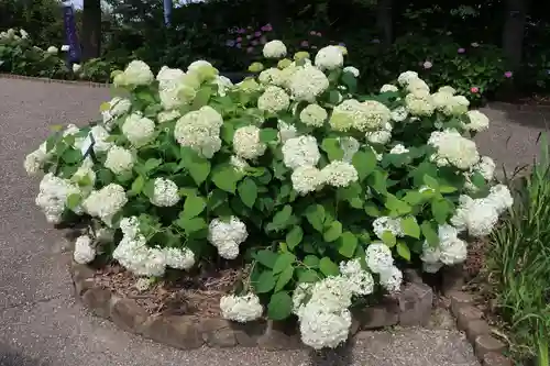 性海寺(愛知県)