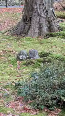 三千院門跡(京都府)