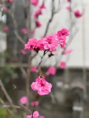 庄春日神社の自然